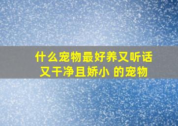 什么宠物最好养又听话又干净且娇小 的宠物